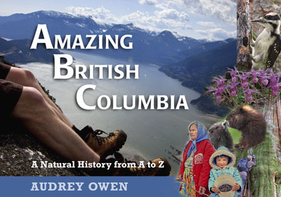 Amazing British Columbia book cover